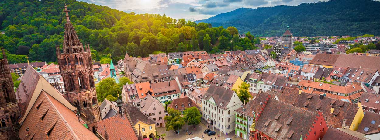 Freiburg : entre écologie et traditions en Fôret-Noire
