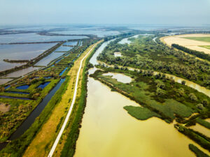 parco regionale del delta del pô
